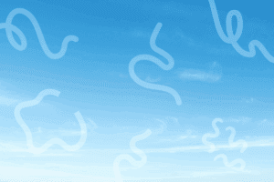 Outline of eye floaters against a blue sky