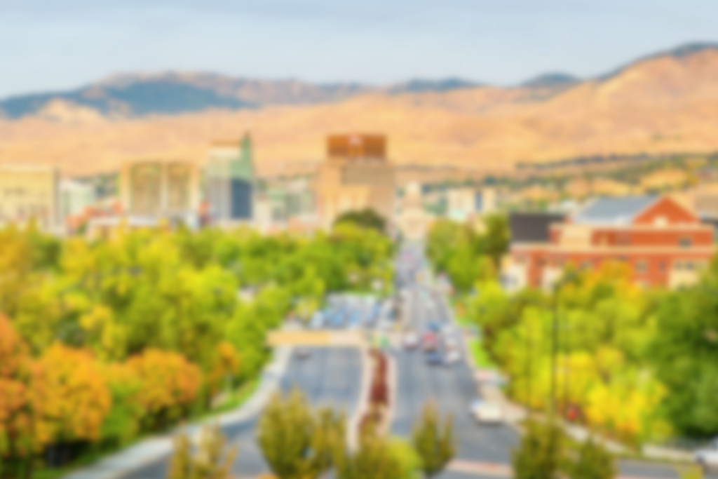Blurry image of Boise landscape