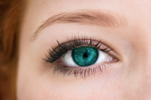 Bright green eye closeup