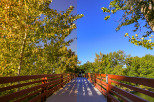 Boise bridge with one half of image tinted yellow